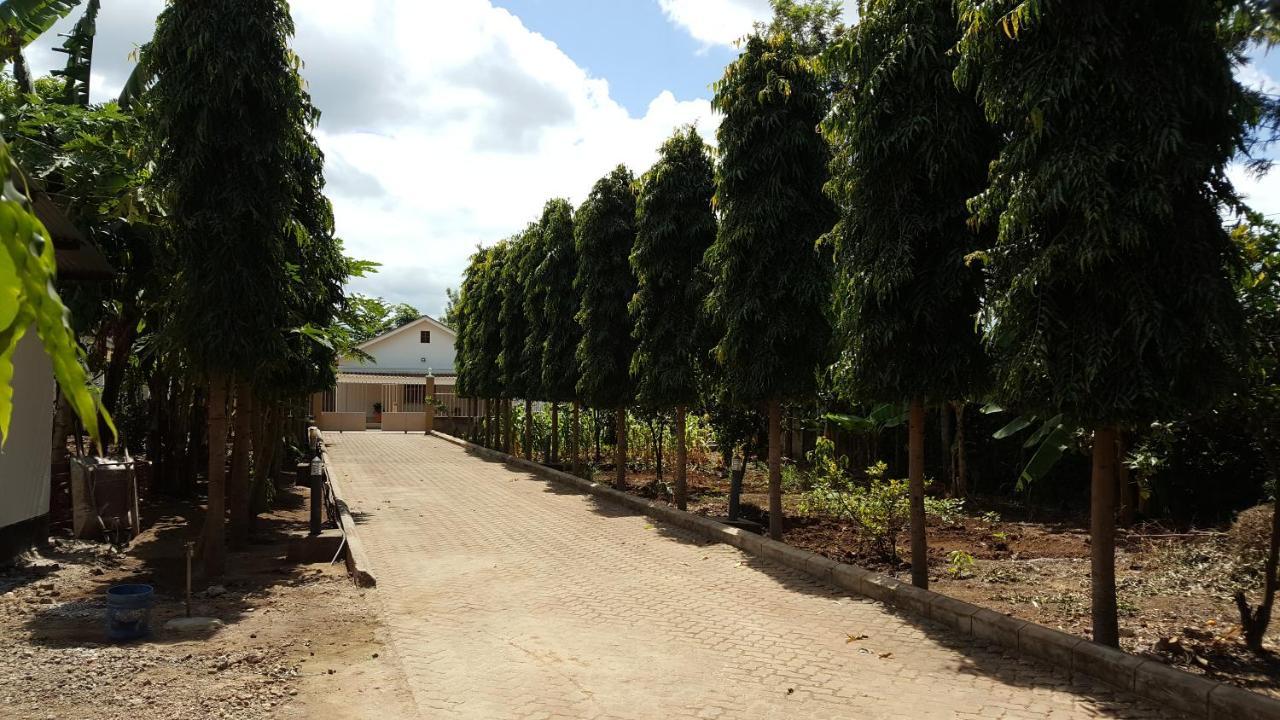 Kilimanjaro Country House Моші Екстер'єр фото
